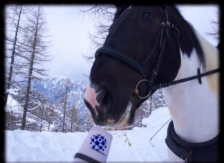 Am Katschberg in Kärnten gibt es einen Biolift