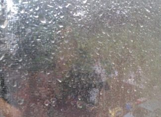 Nevada: Mitten in der Wüste Sturzflut! Dramatisches VIDEO