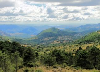 Andalusiens Natur- und Kulturschönheit – Die Sierra de Grazalema und die weißen Dörfer
