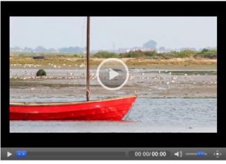 Dublin- Die Hauptstadt Irlands – Videoimpressionen