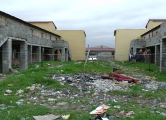 Ebola-Angst: Ivorer setzen ihre Haustiere aus – VIDEO