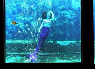 Tanz der Meerjungfrauen in Weeki Wachee