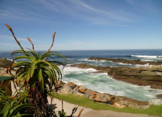 Südafrika – Naturparadies Tsitsikamma Nationalpark