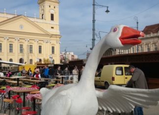 Ungarn: Lecker Gänsfeste!