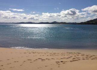 Terror in Tunesien! Mittlerweile 39 Todesopfer!