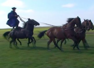 Ungarn: Wild, wilder, Puszta (Video)
