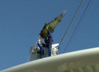 Spektakulär! Wie kommt der Weihnachtsbaum auf den höchsten Punkt der AIDAblu ?