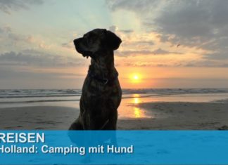 Holland: Campingurlaub mit Hund in Den Helder