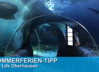 Ferientipp: Sea Life in Oberhausen