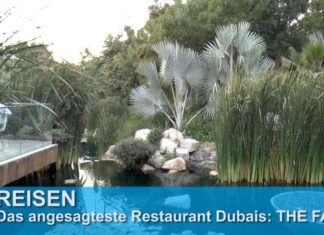 THE FARM: Das „In-Restaurant“ derzeit in Dubai