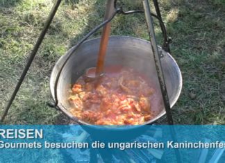 Herbst-Tipp: Kulinarische Reise zum ungarischen Kaninchengulasch!