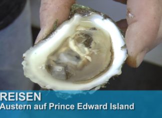 Kanada: Austern auf Prince Edward Island