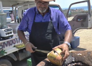 Karibische Kokosnüsse sind gesund!