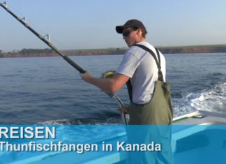 Einen Tag auf Thunfischfang in Kanada