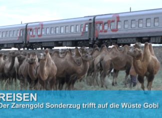 Transsibirische Eisenbahn: Zarengold trifft auf Wüste Gobi
