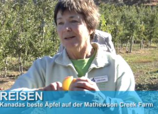 Kanadas beste Äpfel auf der Mathewson Farm in Penticton!