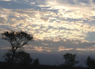 Zu Fuß durch Savanne und Wüste: TUI Wanderreisen in Südafrika und Namibia