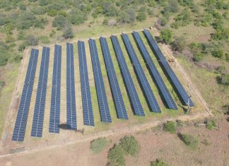 Umwelt- & Artenschutzmaßnahmen der Singita Lodges in Südafrika, Tansania und Simbabwe