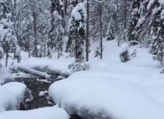 Reisereporterin unterwegs in Lappland