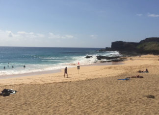 Hawaii´s schönste Strände: Sandy Beach