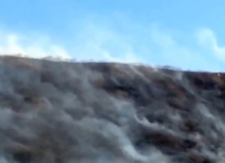 Feuer! Das Wahrzeichen von Oahu – Diamonds Head – brennt!