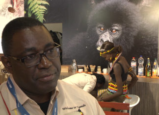 Wildlife in Uganda: Einmal die Berg Gorillas sehen