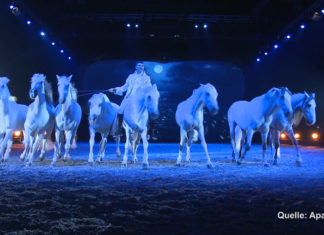 Freizeit-Tipp: Super-Pferdeshow Apassionata zieht die Zuschauer in den Bann des Spiegels!