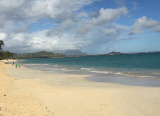 Keine Arbeit am Strand: 50 Prozent der Deutschen schalten im Urlaub konsequent ab