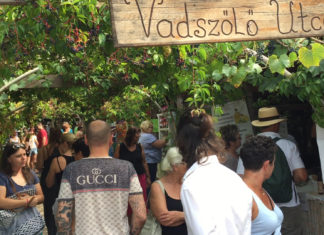 So sieht ein richtiger ungarischer Biomarkt aus!