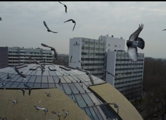 Köln interkulturell: Die DITIB Zentralmoschee in Köln von oben – spektakuläre Vogelperspektive