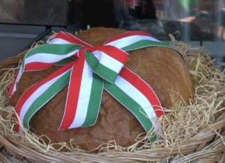 Das sollte man kulinarisch auf einer Ungarn-Reise probieren!