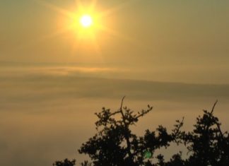 Reiseschutzexperte LTA rät: Gute Urlaubsvorbereitung für sicheres Reisen