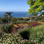 Botanischer garten Madeira