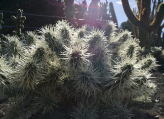 Neue Lebensader für Kanadas hohen Norden