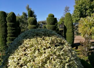 Studienreisen für Kunstbegeisterte!