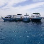 Turkish Airlines Water sports event