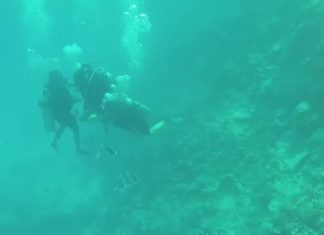 Fun! Turkish Airlines Wassersportfestival in Hurghada / Ägypten