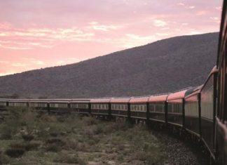 Safaris auf Schienen: Erlebnisreisen mit dem neuen Sonderzug African Explorer