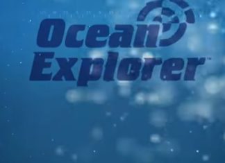 SEAWORLD SAN DIEGO: Meerestiere neu erleben