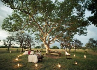 Im Herbst: Singita Tansania vereint die Reservate Grumeti und Lamai zu einem einmaligen Safarierlebnis!