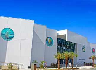 Queensland: Cairns Aquarium & Reef Research Centre in neu eröffnet!