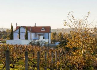 Hotel für Seebären in Portugal