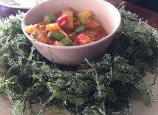 Frisches Algengemüse auf den Phi Phi Inseln