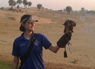 Die Reise zum Sehnsuchtsort Wüste