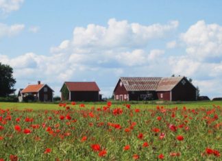 Neue Kataloge: Die Landpartie geht mit 97 Rad- und Wanderreisen ins neue Jahr