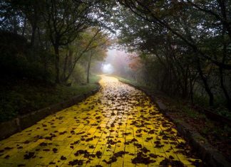 Tschüss, gelbe Pflasterstraße!
