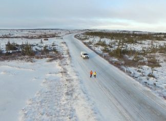 Extremsport im Land der Eisbären: Polar Bear Marathon in Churchill