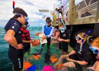 So kann man Forschungs-„Praktikant“ am Great Barrier Reef werden