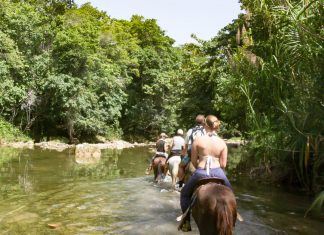 Veranstalter startet „Dom Rep for family“