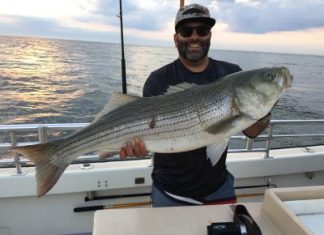 Montauk / Long Island: Grosser Fischreichtum – Anglerparadies!